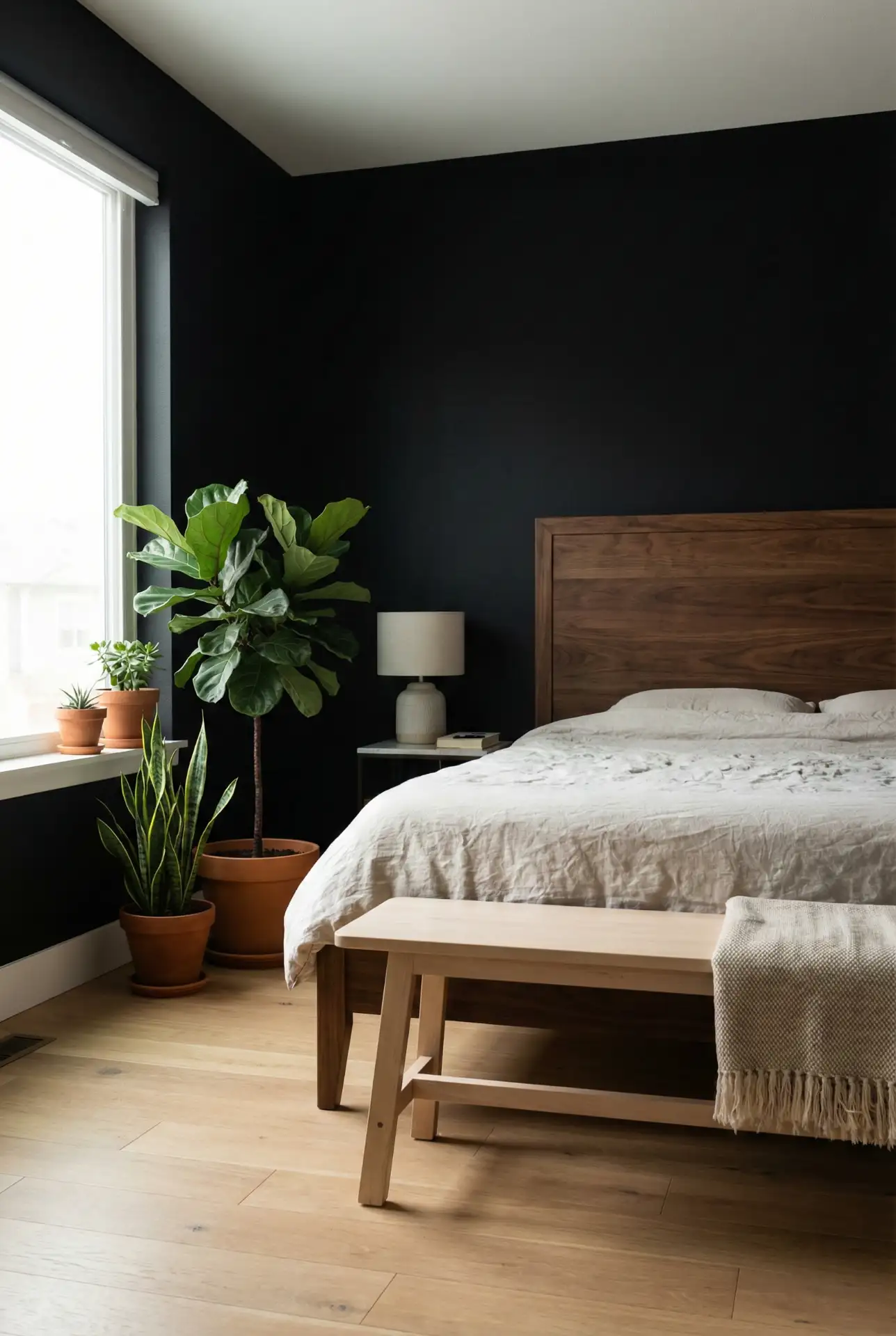 Black with Wood Warmth 1