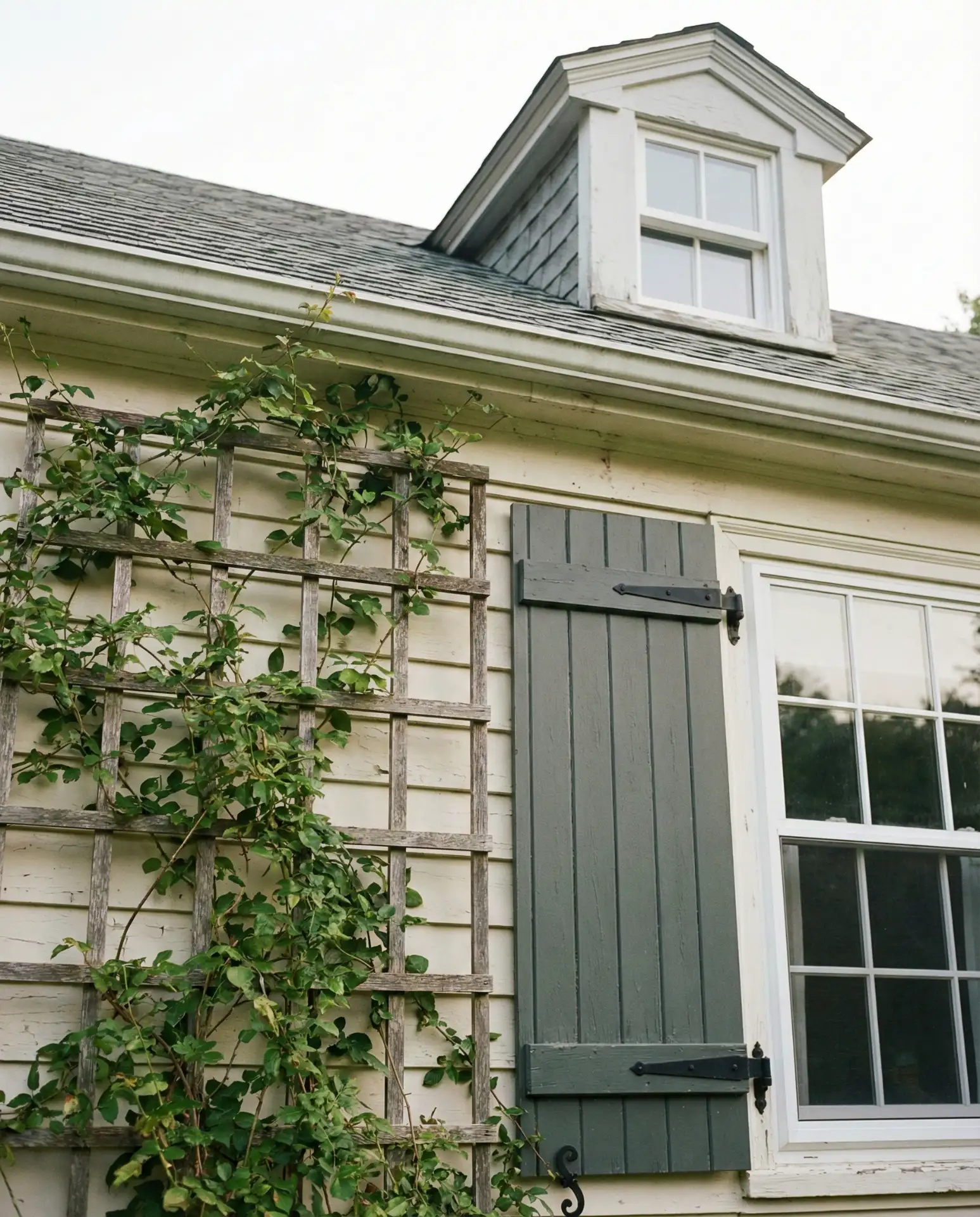 Cream with Soft Grey-Green Shutters 2