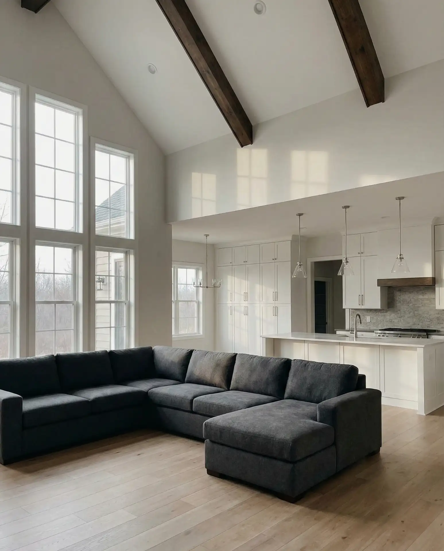 Dramatic Cathedral Ceilings 1