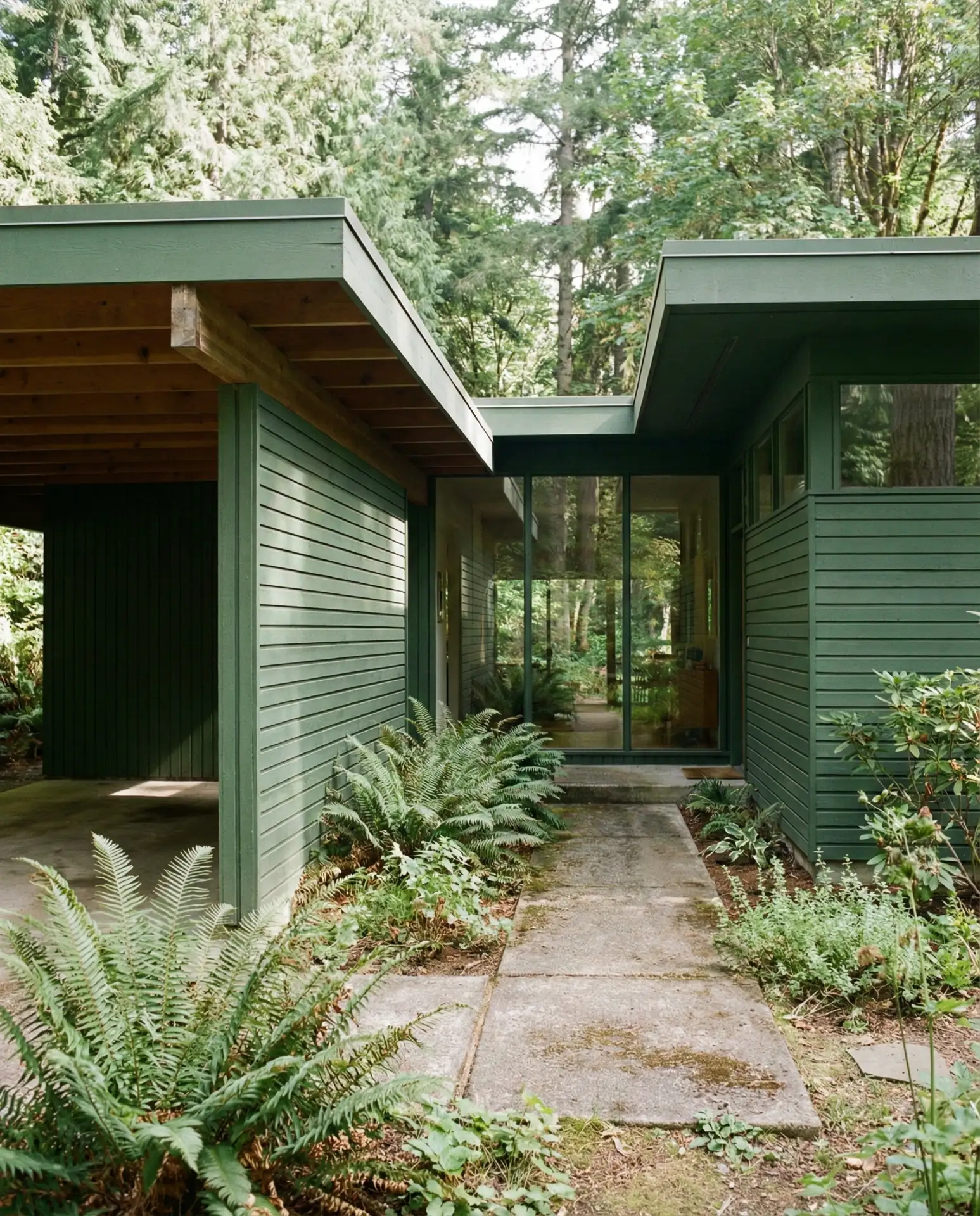 Forest Green Modern Mid-Century with Natural Wood Trim 2