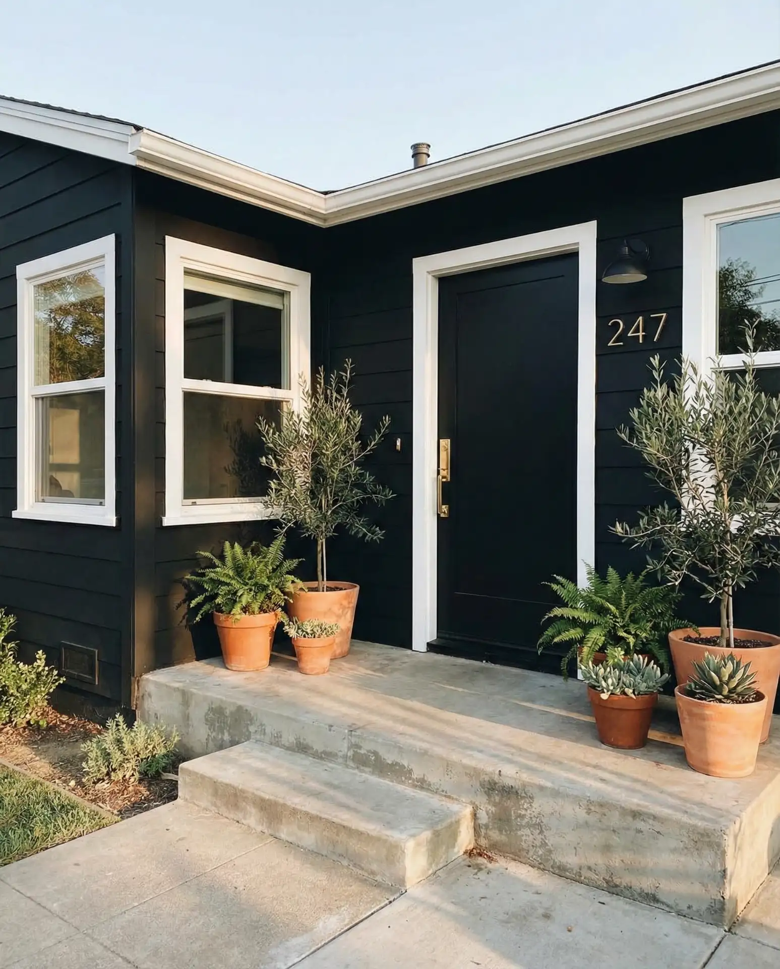 Matte Black with White Trim and Brass Hardware 1