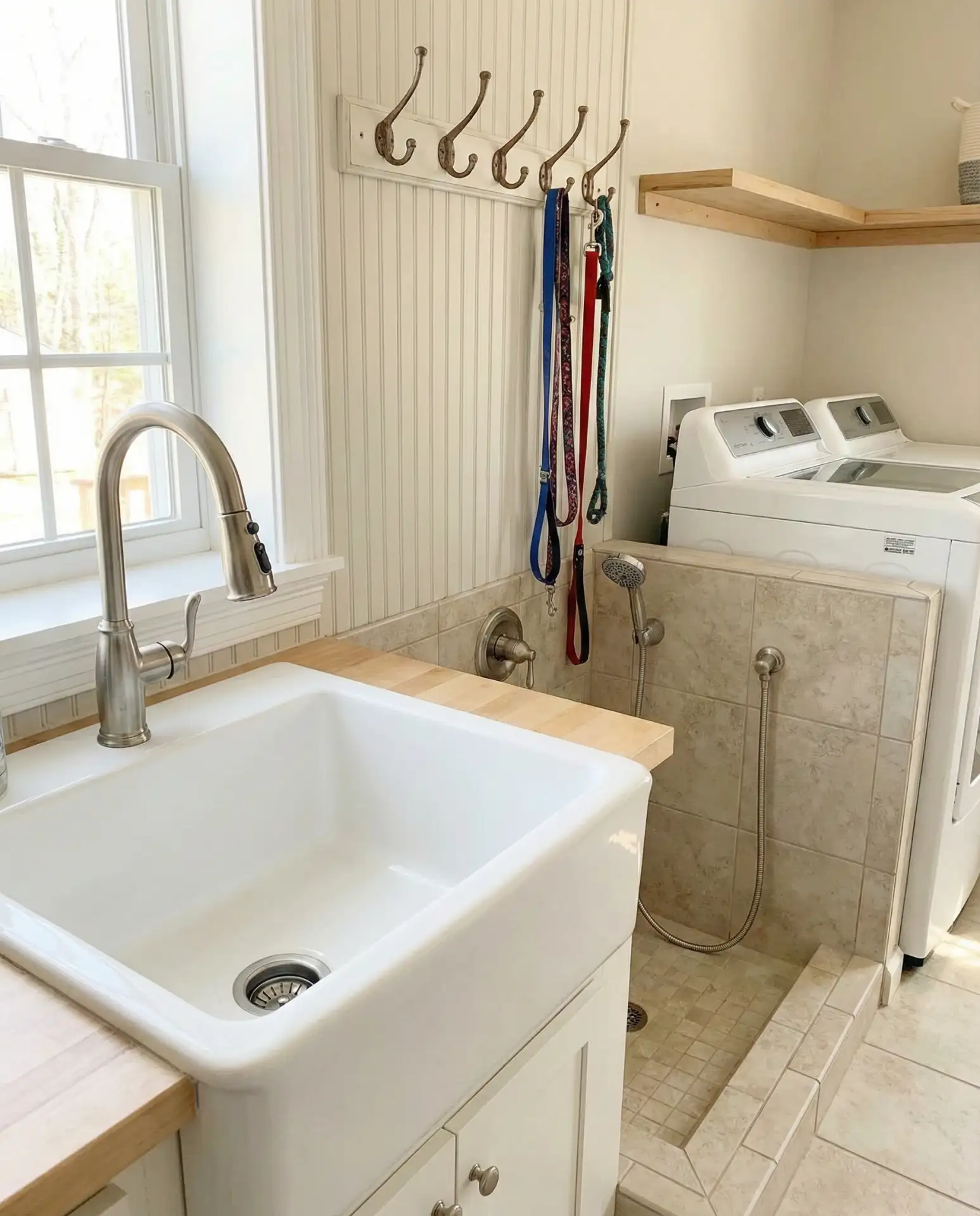 Multifunctional Space with Pet Washing Station 2