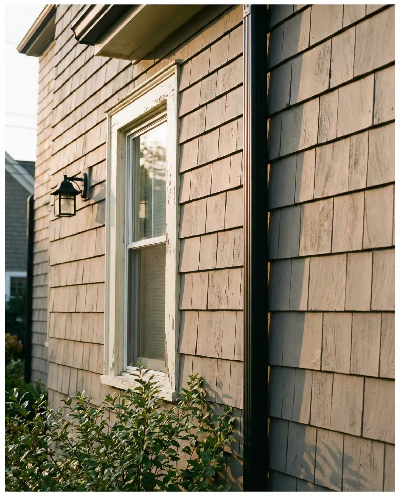 Taupe with Cream and Black Accents 2