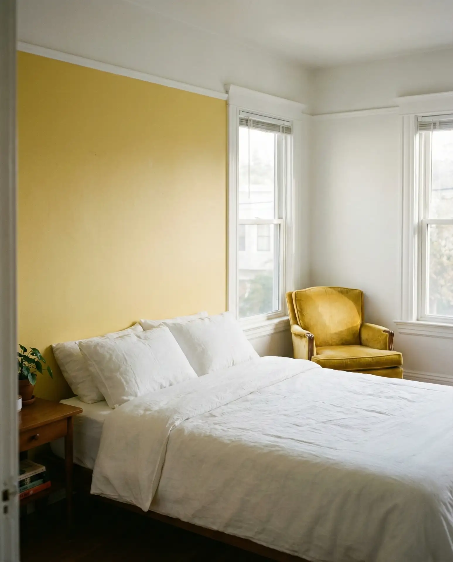 White and Warm Yellow Sunshine 1