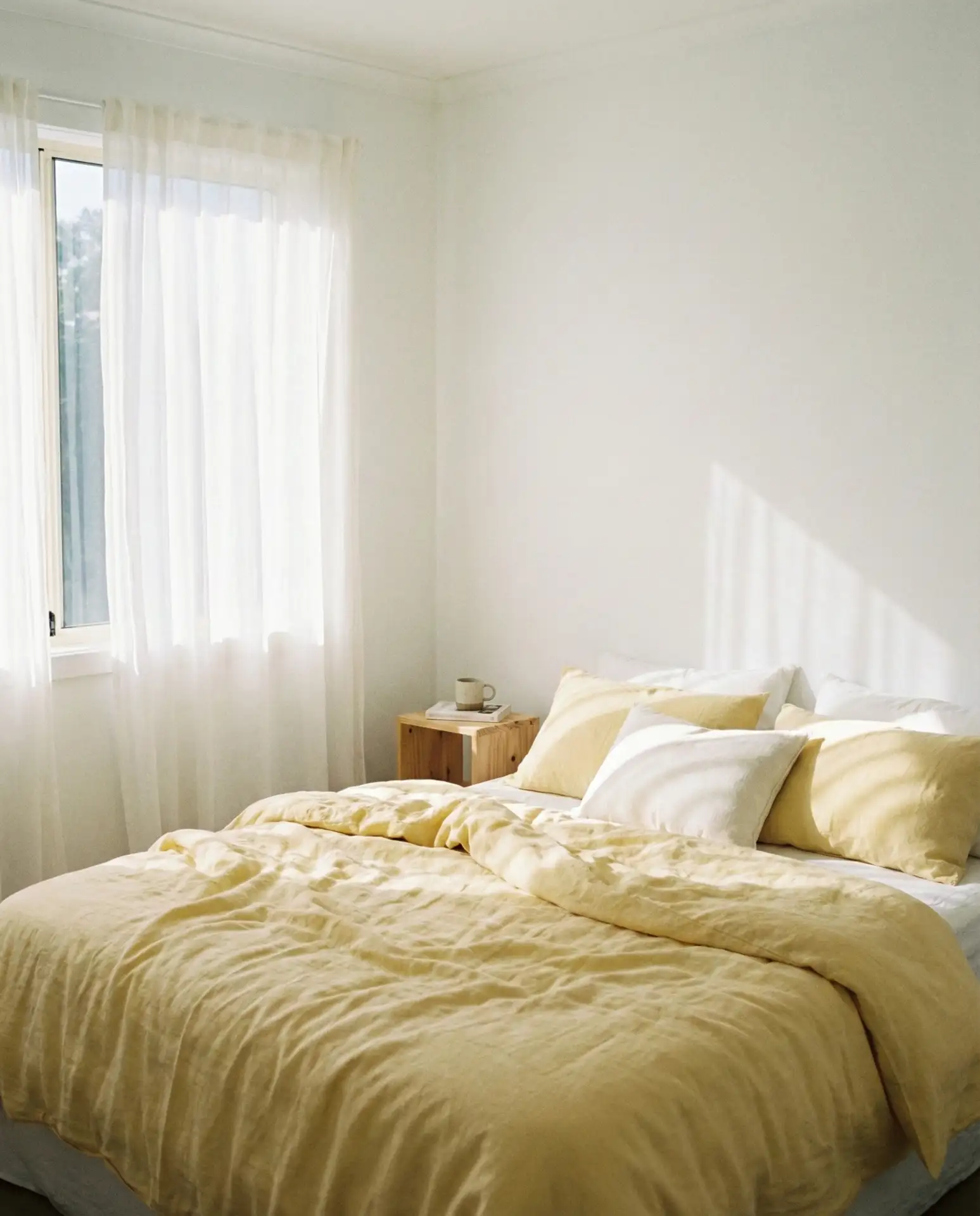 White and Warm Yellow Sunshine 2