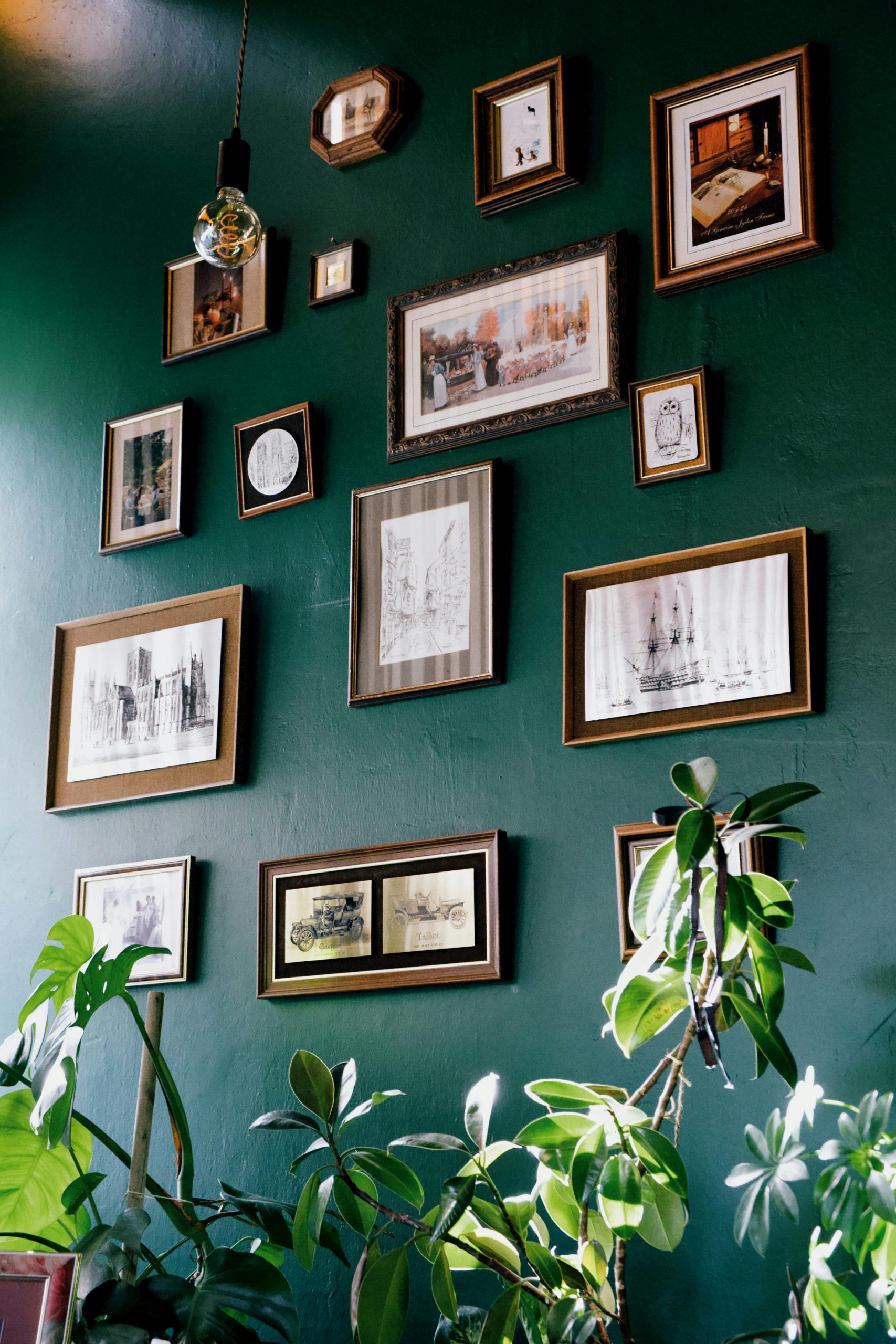 A stylish green wall adorned with picture frames and indoor plants for modern interior design.