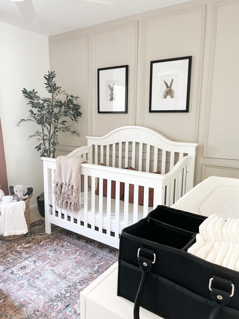 Baby Girl Nursery Design and Decor Ideas - Marly Dice