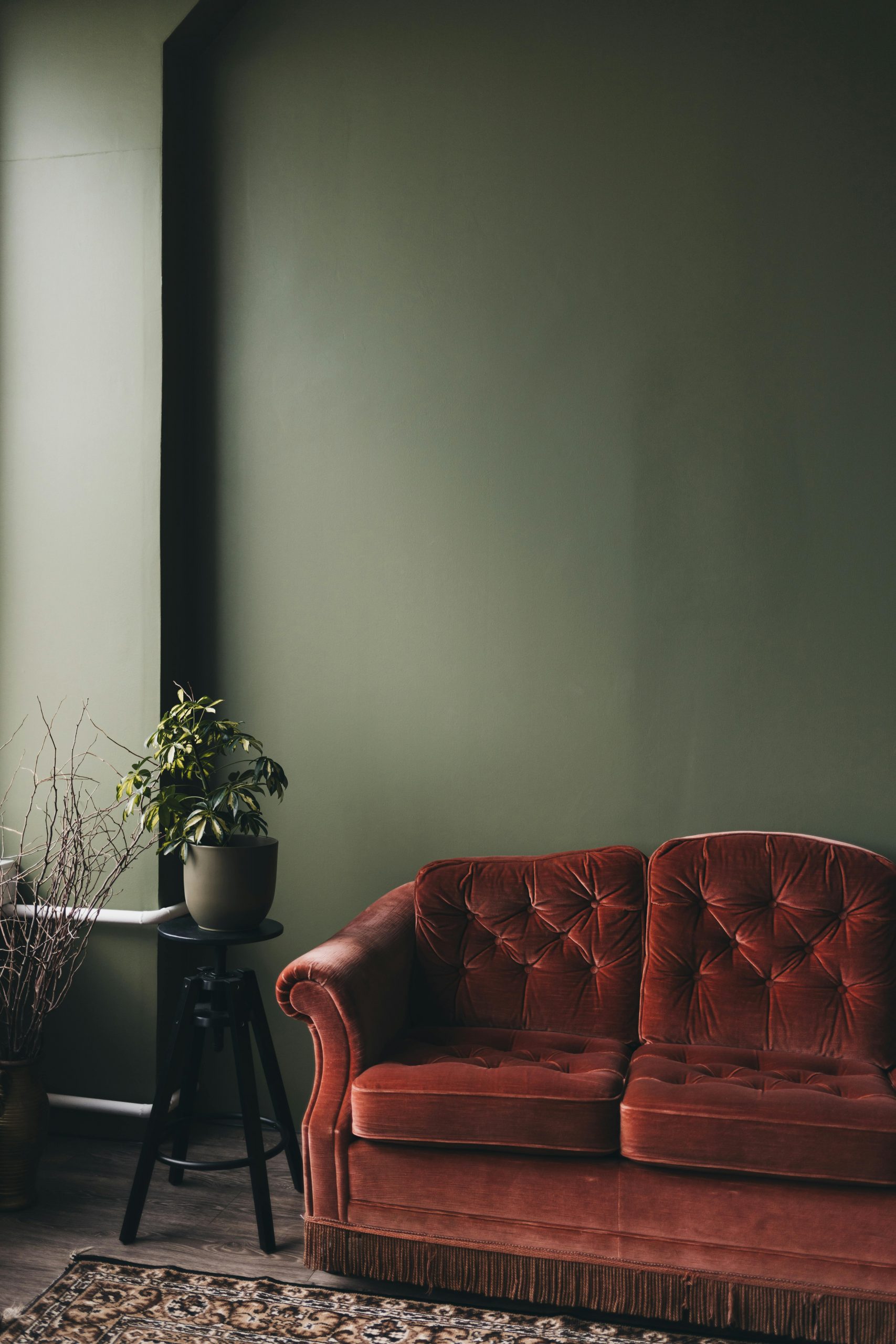Elegant living room featuring a velvet sofa and potted plant against a green wall, ideal for design inspiration.