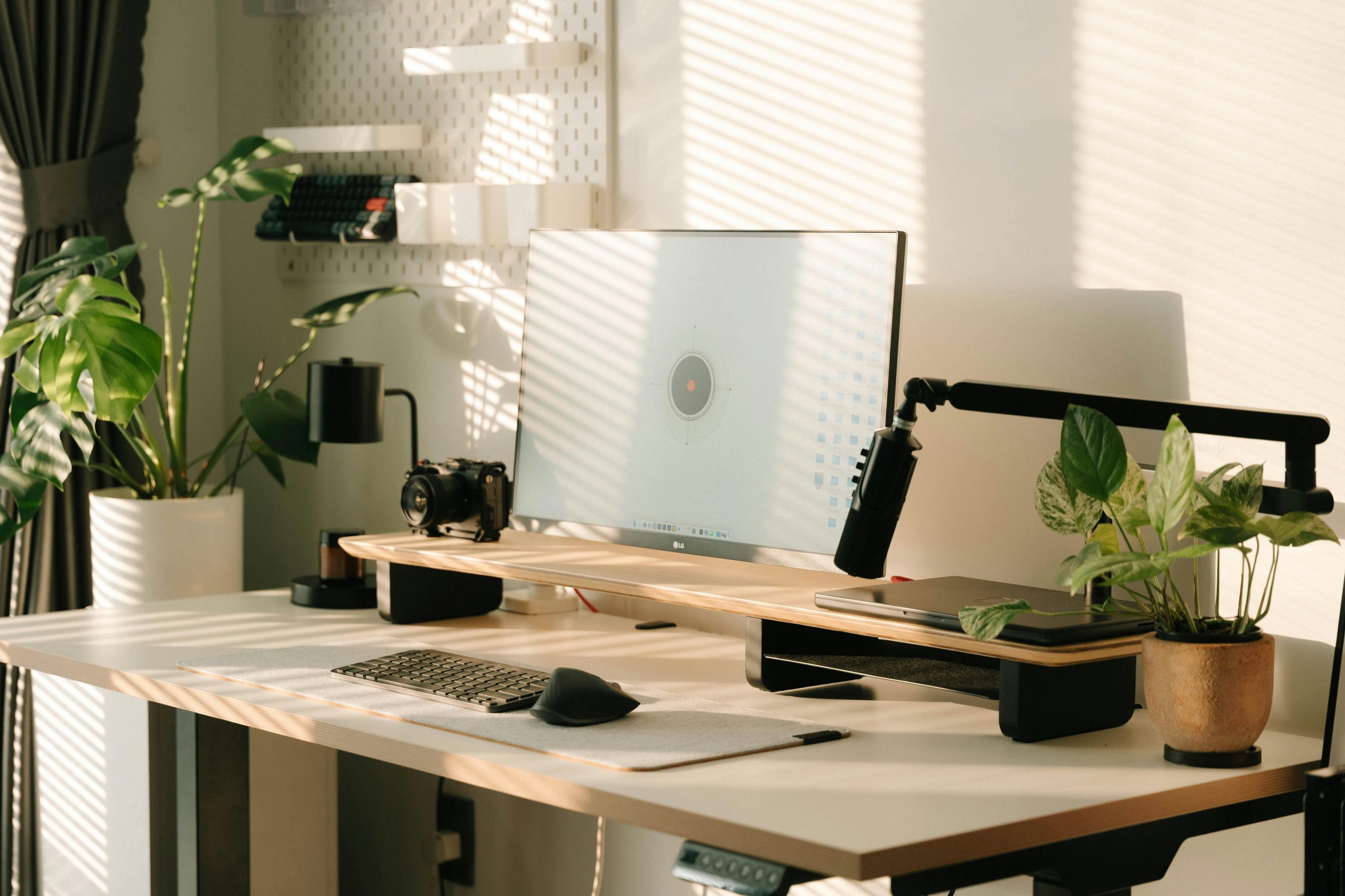 Sunlit home office desk with a modern setup includes a monitor, plants, and accessories.