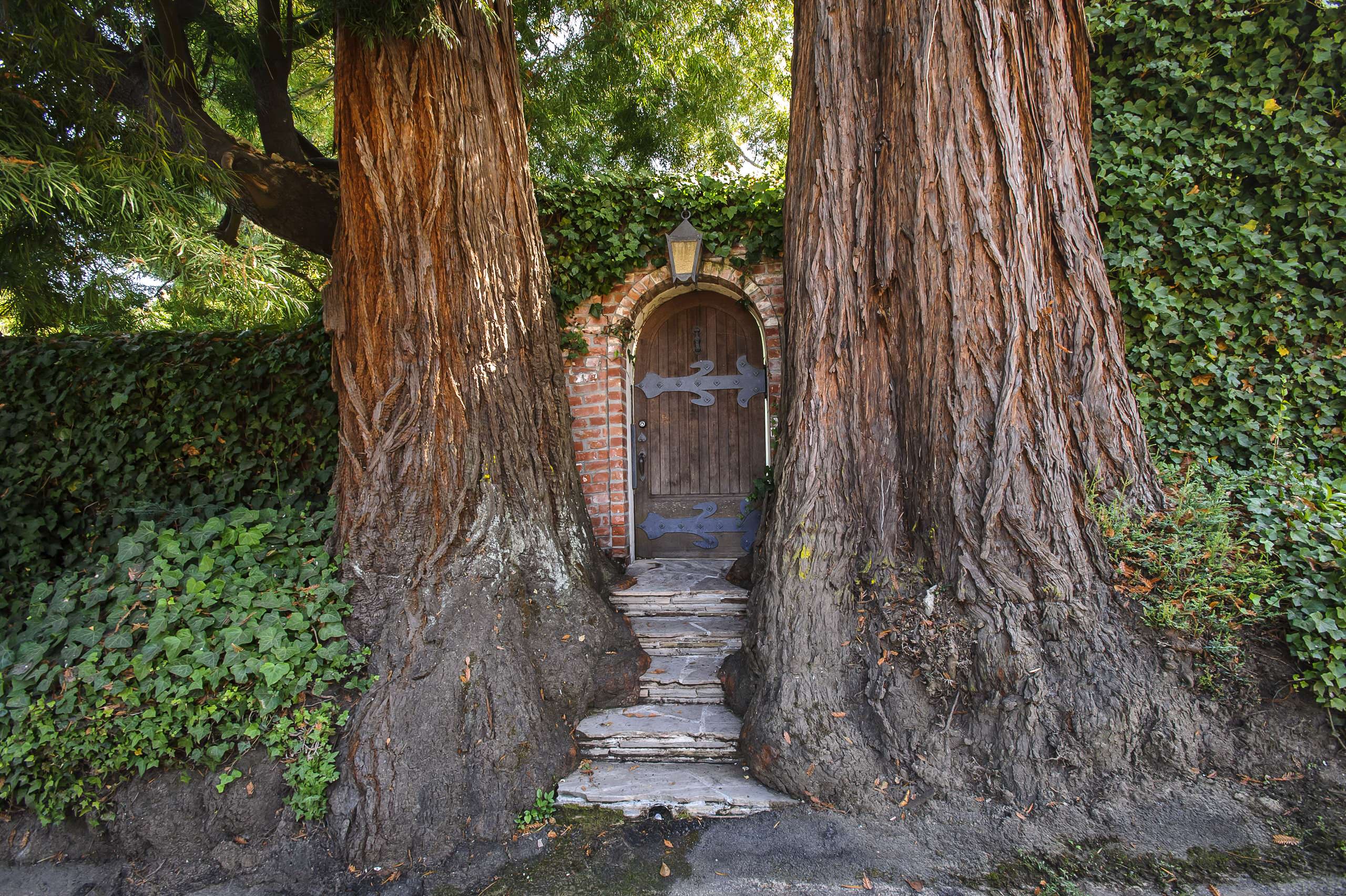 10 Ways to Create a Secret Garden