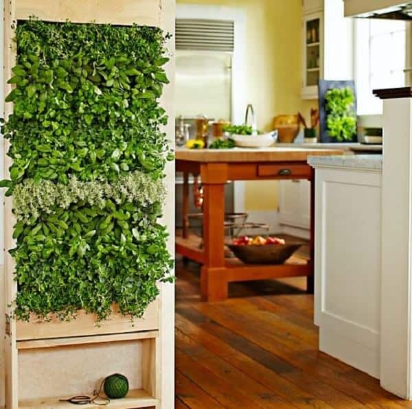 12 kitchen herb gardens to inspire - mecc interiors inc.