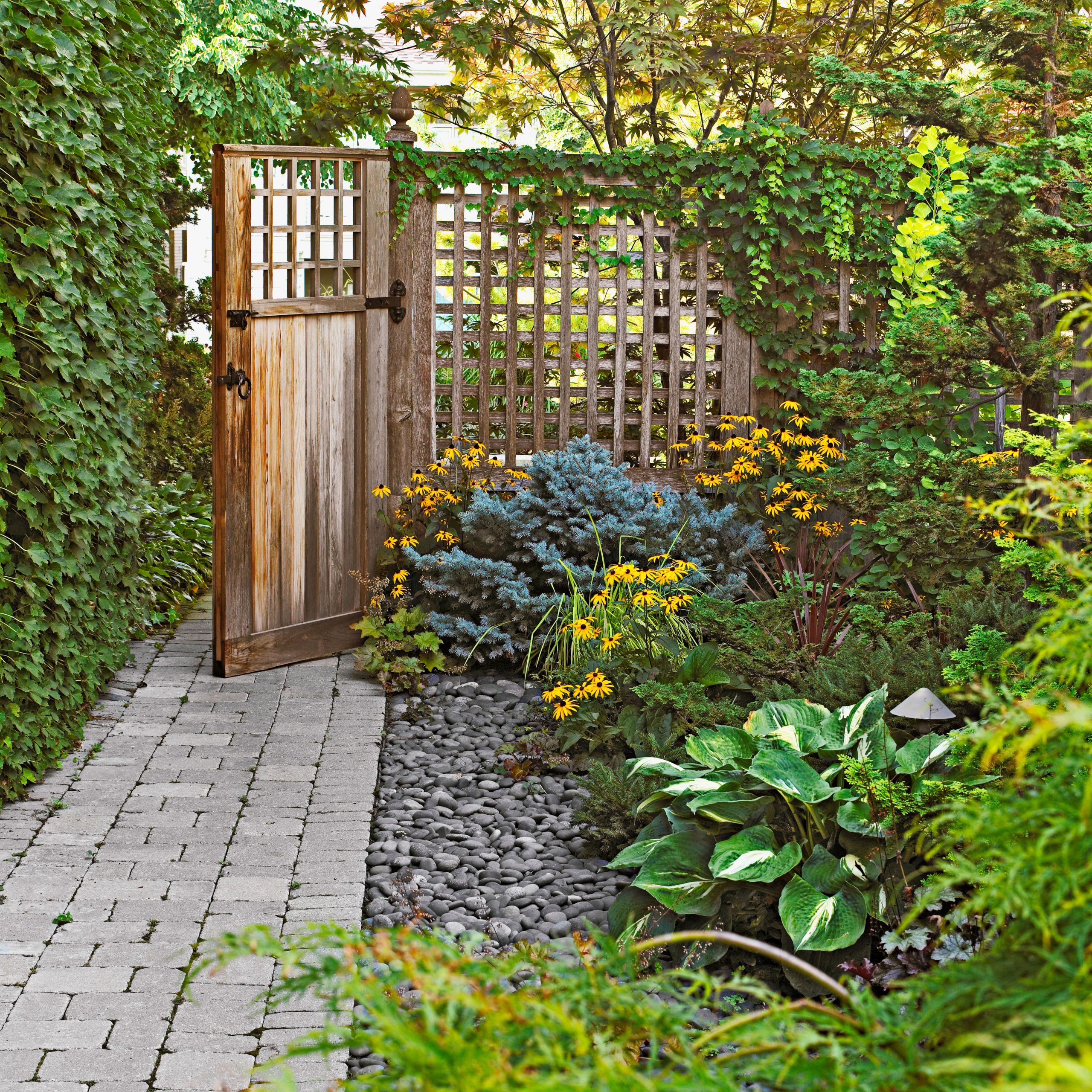 14 Effective Ideas for Creating Privacy in Your Landscape