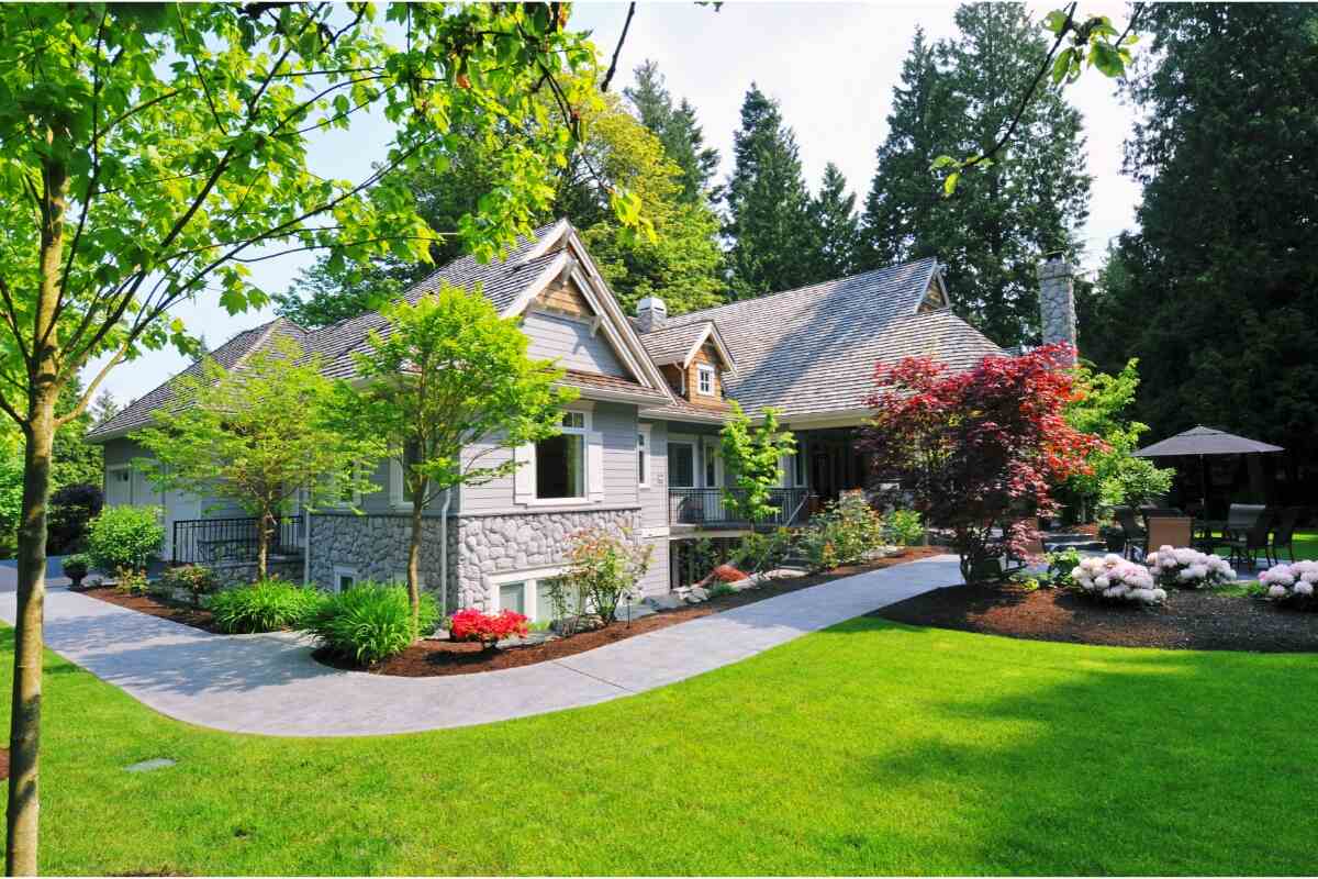 20 Cheap Landscaping Ideas to Improve Your Yard