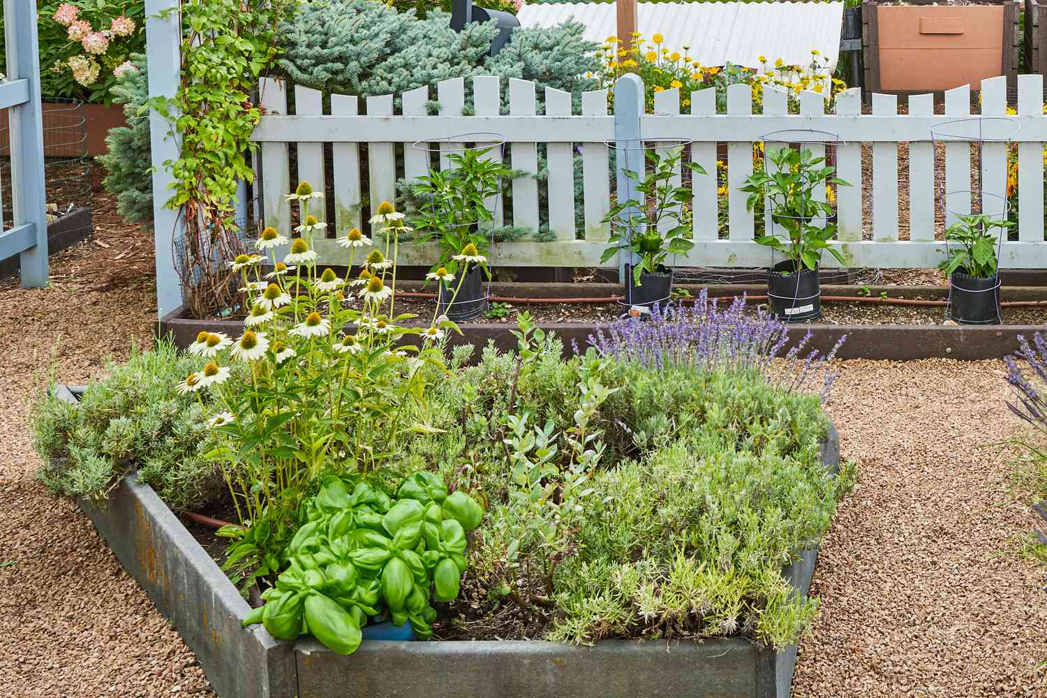 38 Herb Garden Ideas for Indoor or Outdoor Spaces