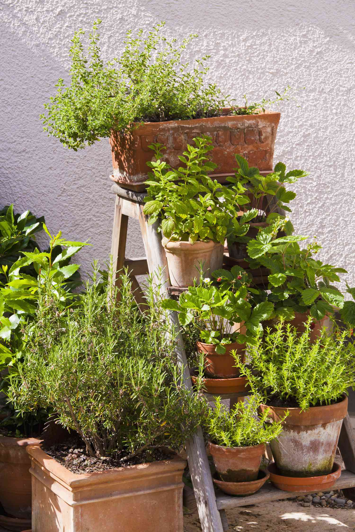 38 Herb Garden Ideas for Indoor or Outdoor Spaces