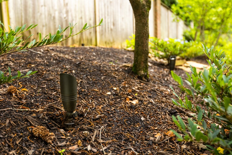 4 Tree Lighting Ideas That Will Transform Your Landscape
