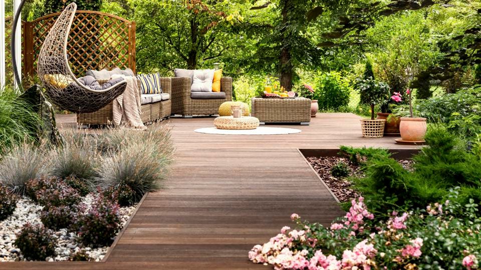 5 Cheap Landscaping Ideas When You're On a Budget – Forbes Home