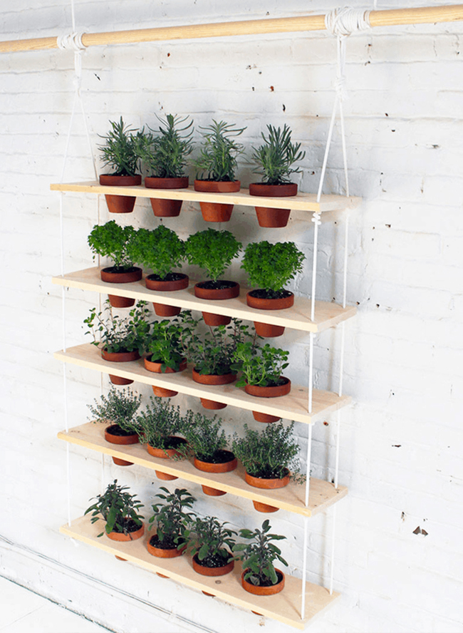 5 Easy to Create Indoor Herb Gardens - Inspired By This