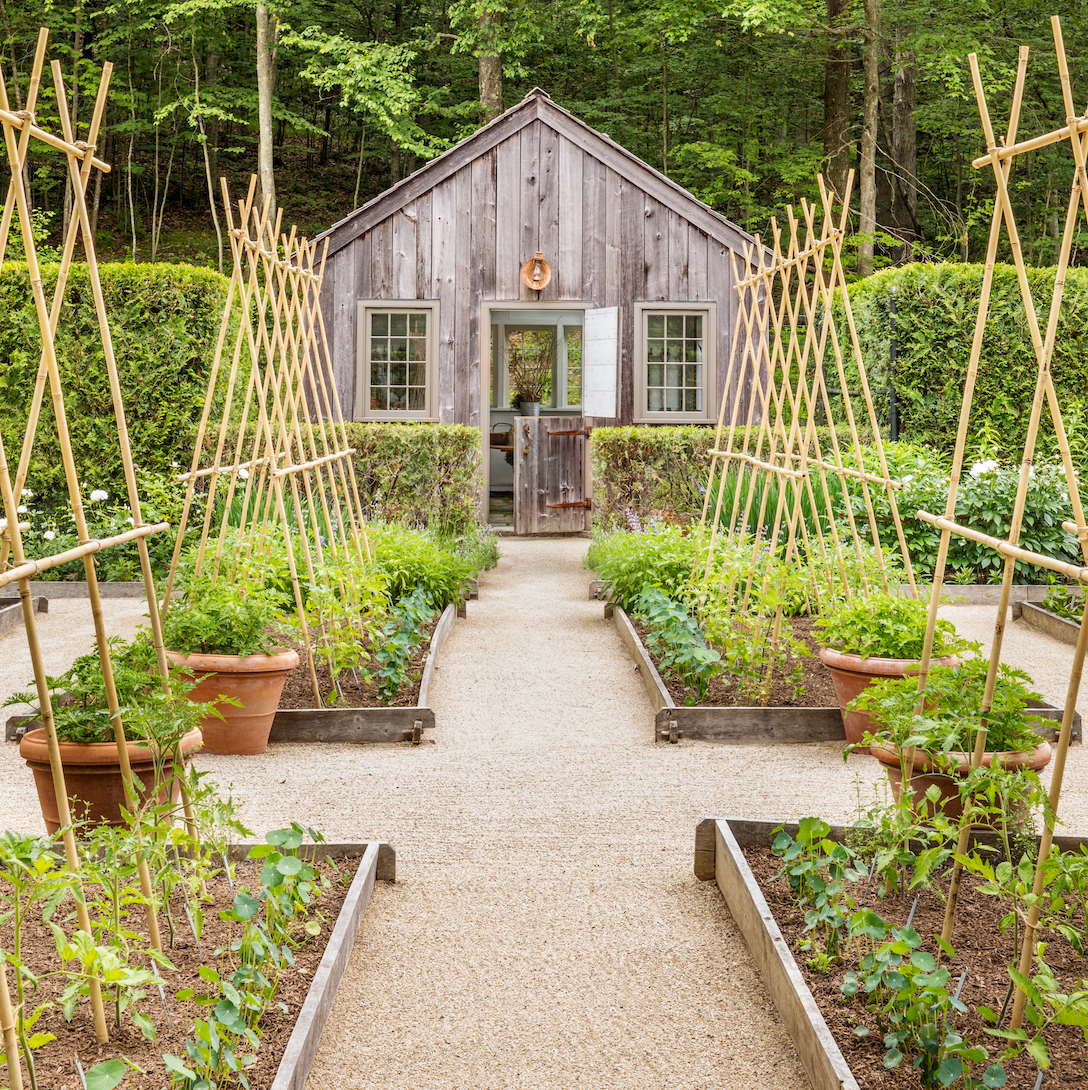 6 Best Ideas for Starting a Herb Garden - Helpful Herb Garden Tips