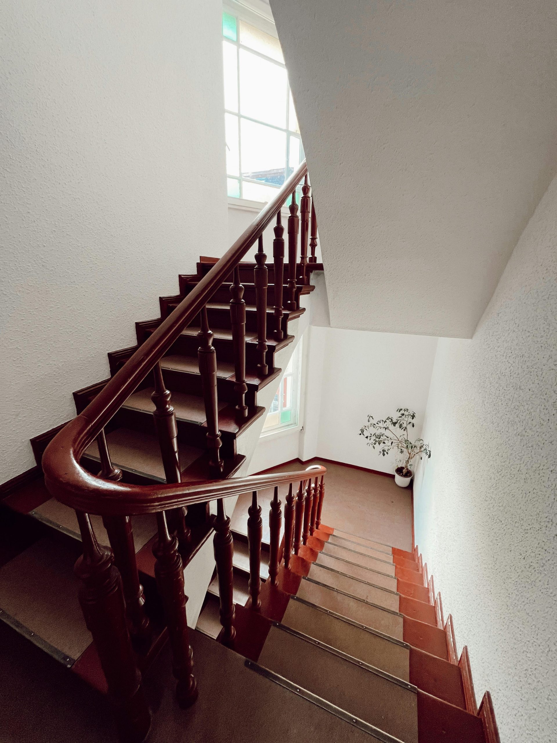 A beautifully designed wooden staircase illuminated by natural light with a plant in the corner.