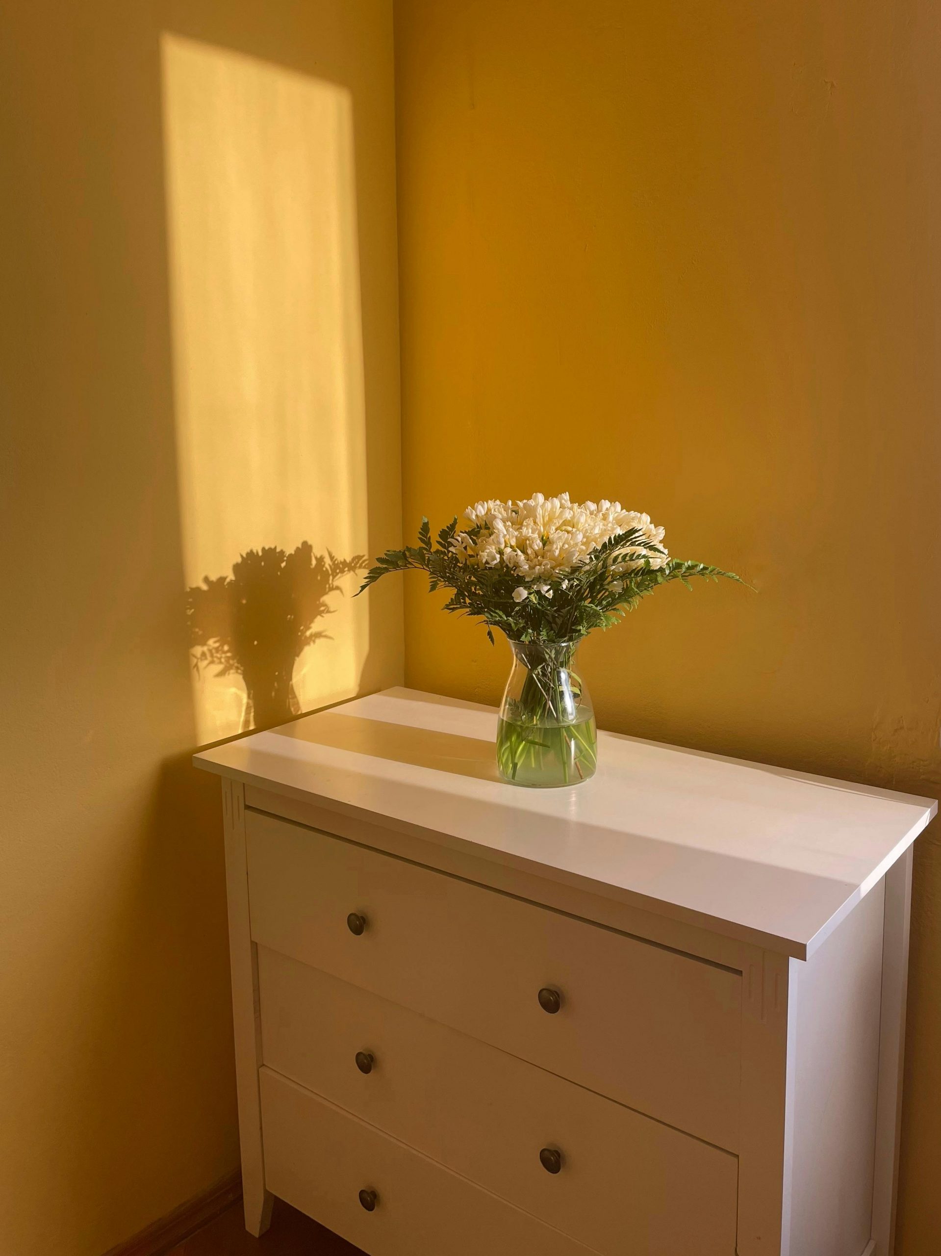 A sunlit yellow room with a flower vase casting shadows on a white dresser.