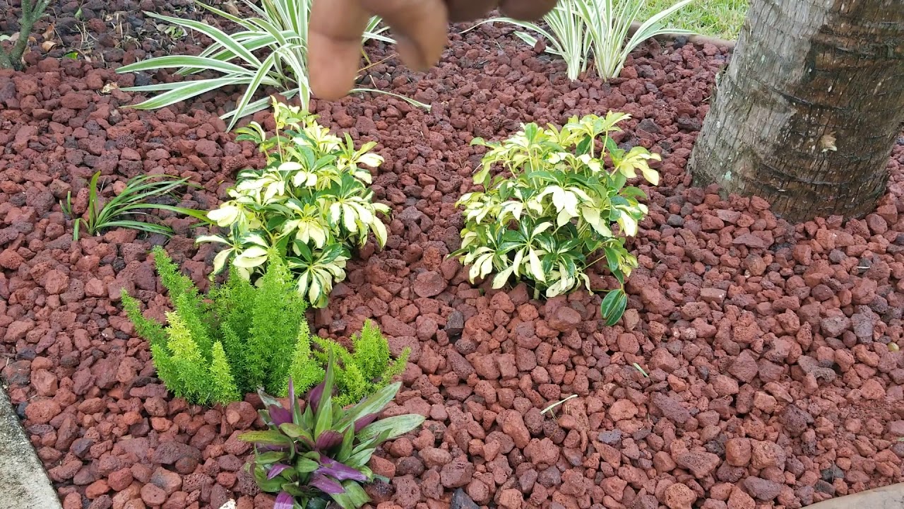 After - Fall landscape update with red lava rock