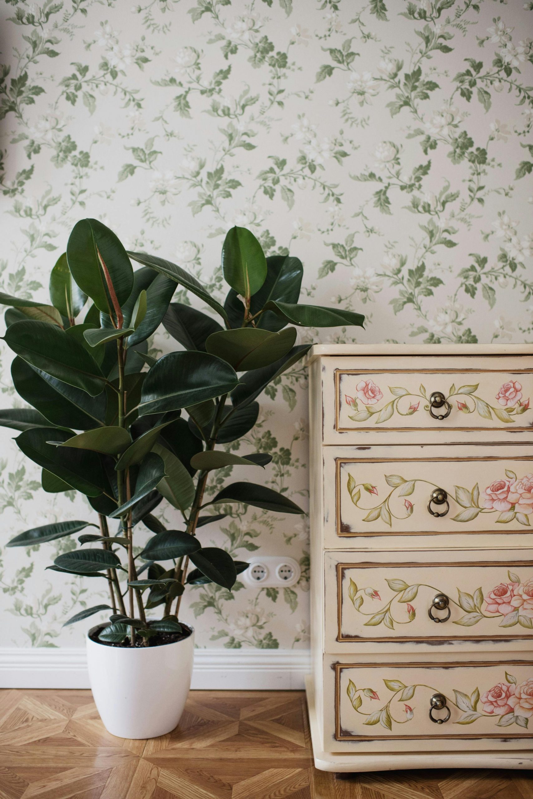 An elegant indoor scene with a vintage floral dresser and a rubber plant beside it, creating a warm, cozy ambiance.