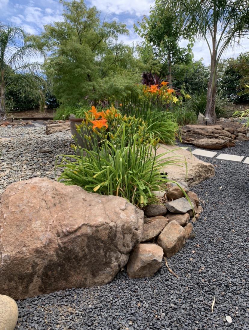 Black Chip Rock, love it : r/landscaping