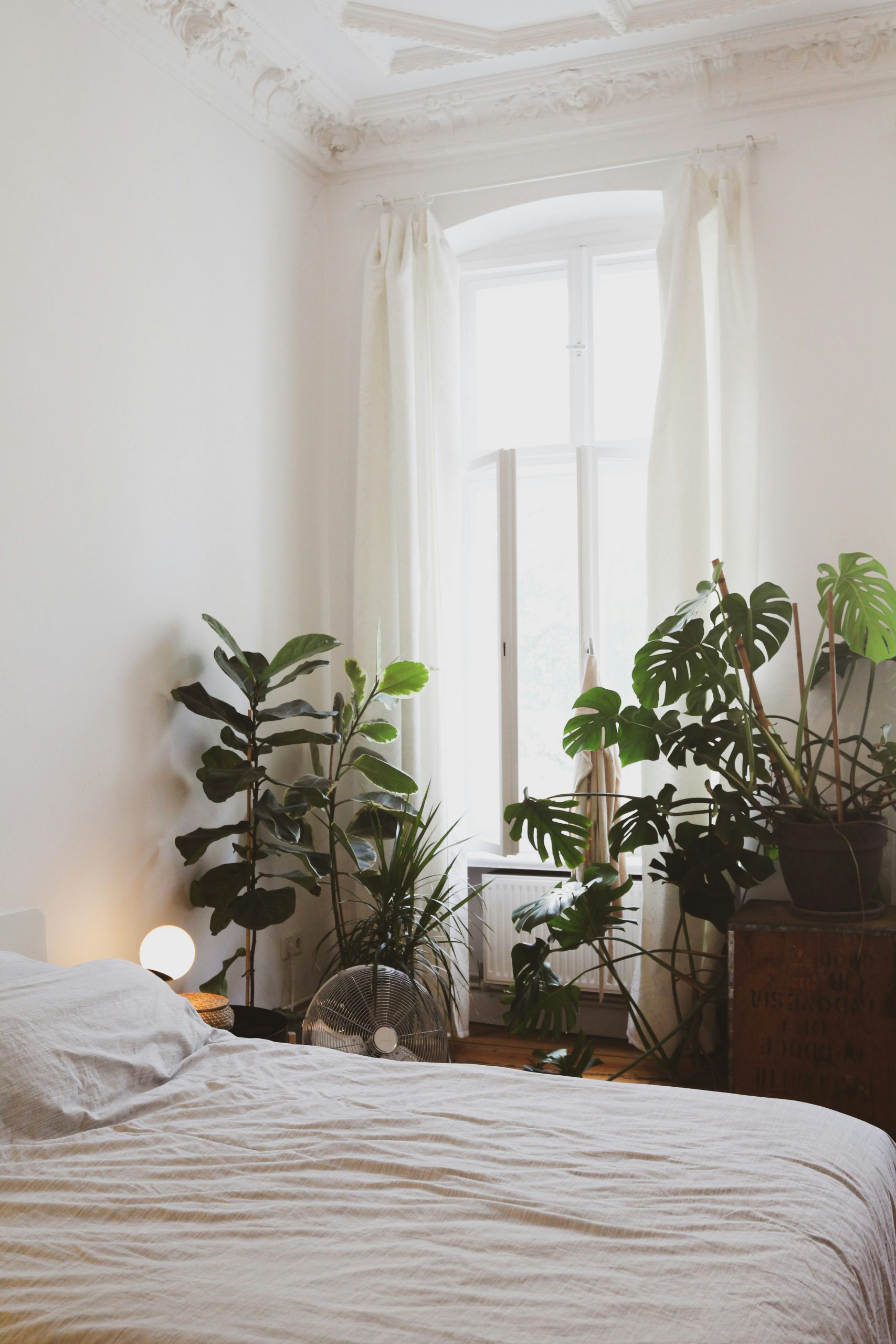 Bohemian bedroom in urban jungle altbau flat in Berlin, Germany. Shooting location available for rent for your next shoot via www.beazy.co