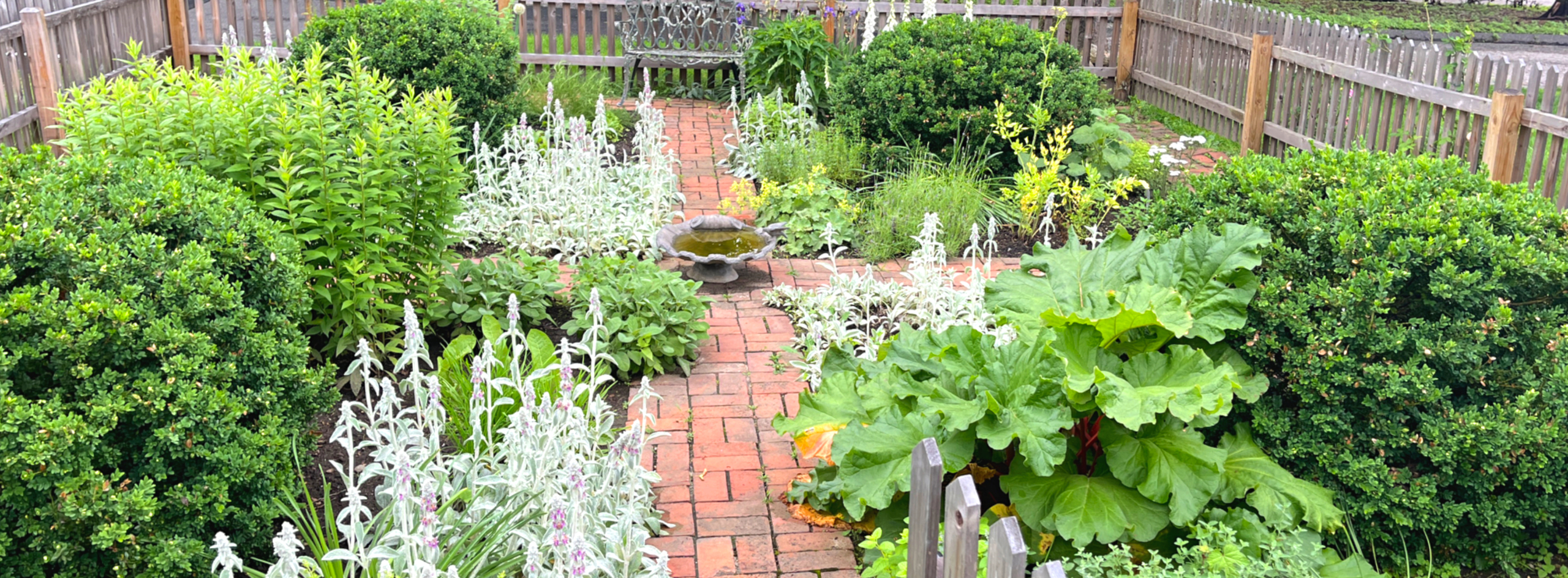 Colonial Herb Garden at the New Canaan Museum & Historical Society - New Canaan Garden Club