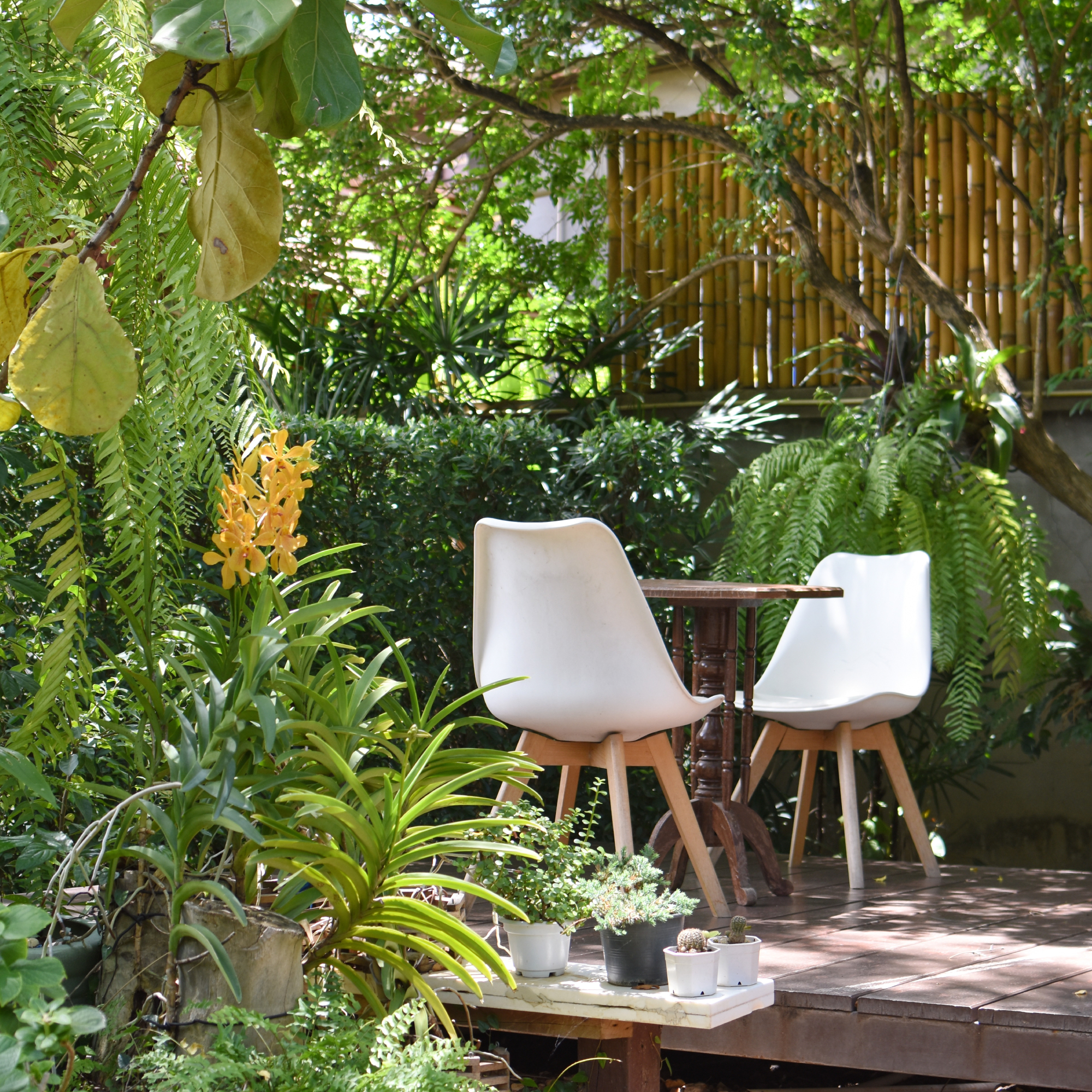Cozy Backyard Ideas You Can Enjoy All Year | Gardening Know How