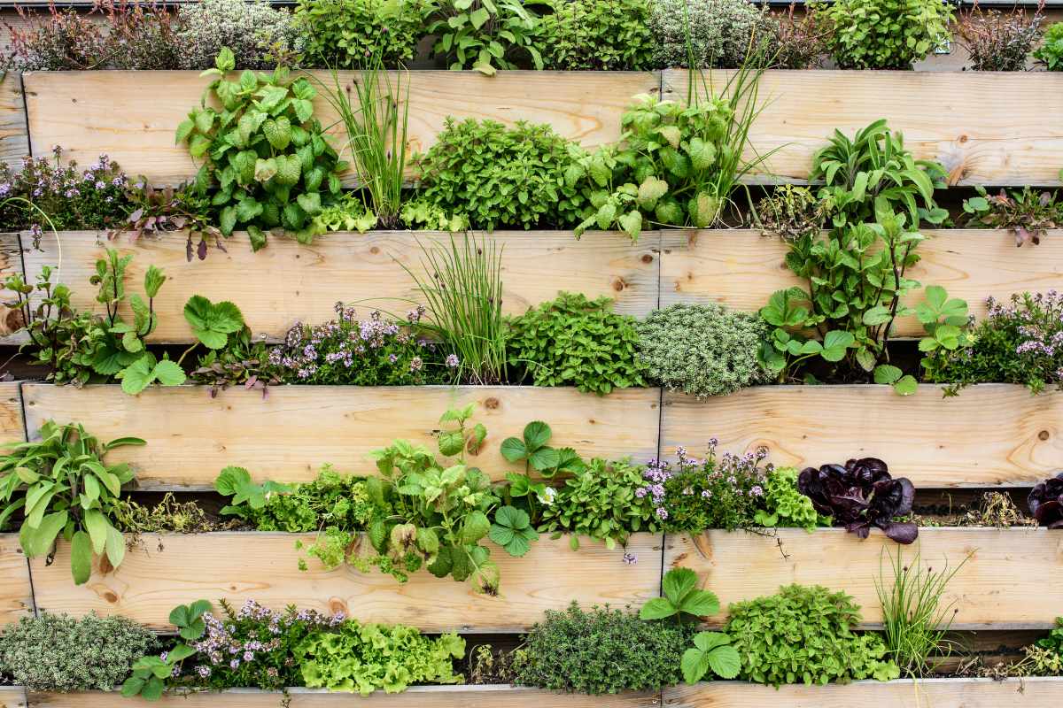 Creating a Vertical Herb Garden on Your Balcony