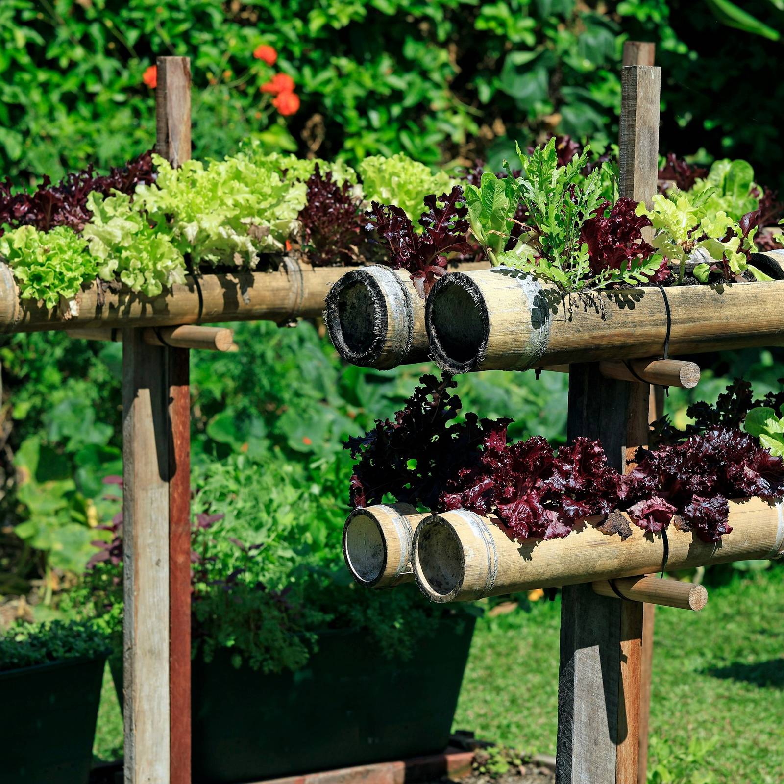 Creative Herb Garden Ideas: Transform Your Yard!