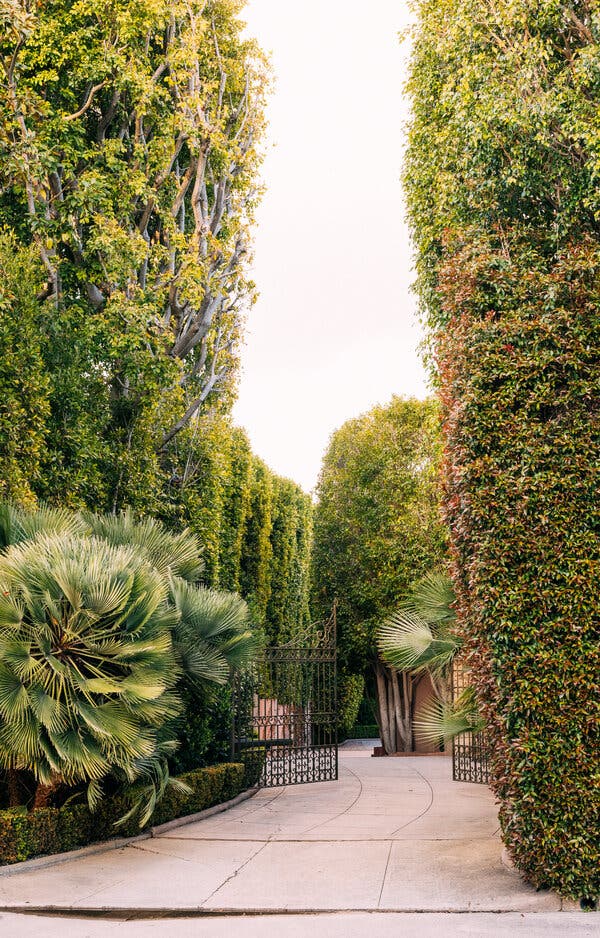 Hiding Behind the Hedges - The New York Times