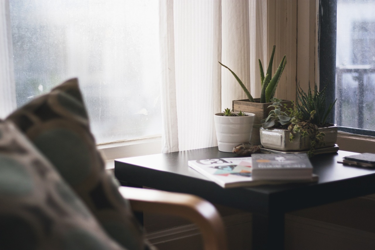 home, house, interior, design, living, bedroom, side, table, ceramic, pots, potted, plants, cactus, nature, aloe