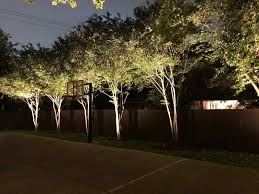 How to Accent Trees With Outdoor Lighting? | Enhanced Outdoor LIghting & Design