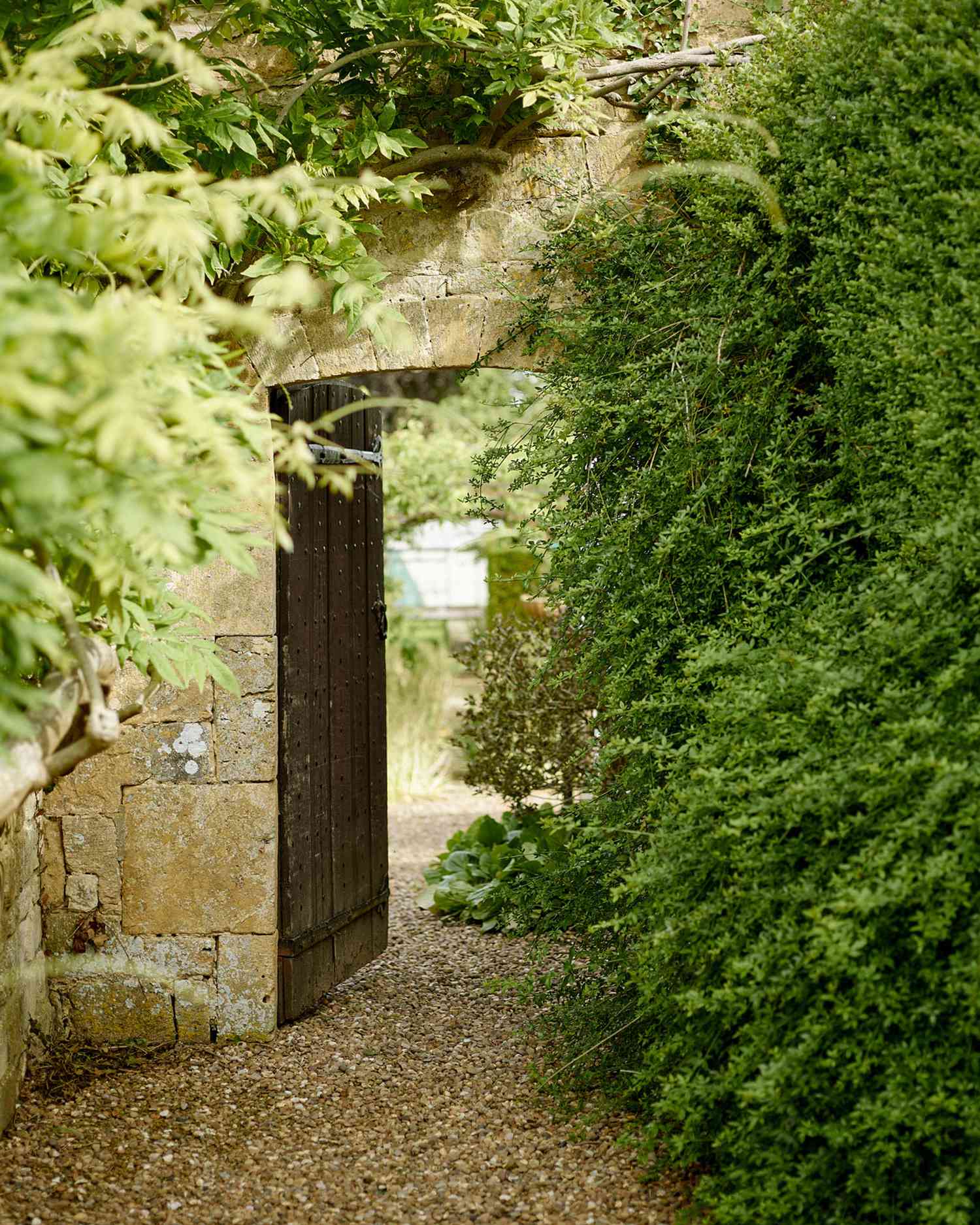 How to Create a Secret Garden Right in Your Own Backyard
