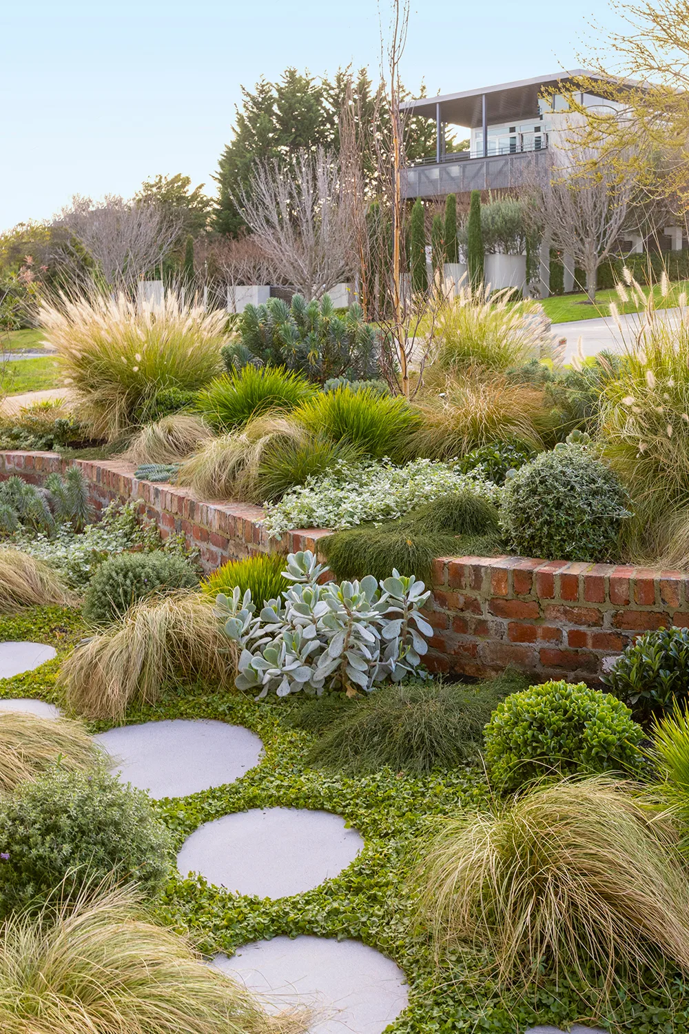 How to grow a coastal garden | Better Homes & Gardens Australia