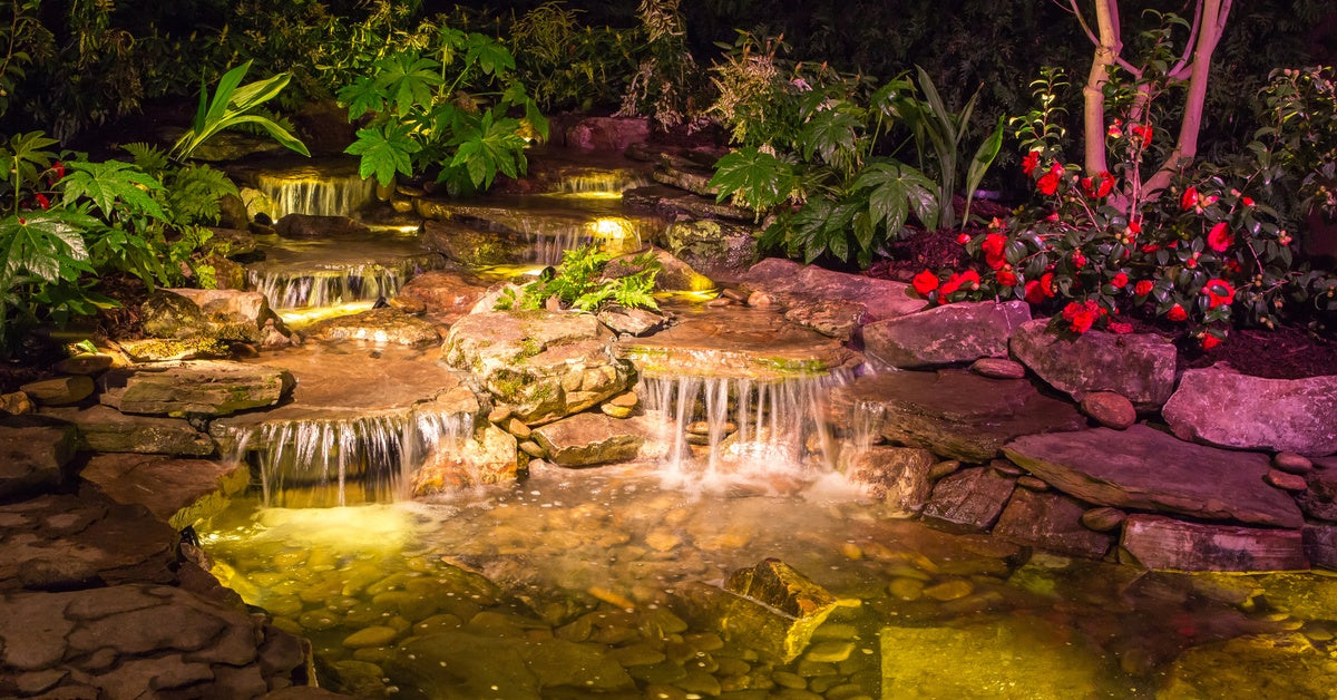 How To Illuminate Your Pond With Outdoor Pond Lights