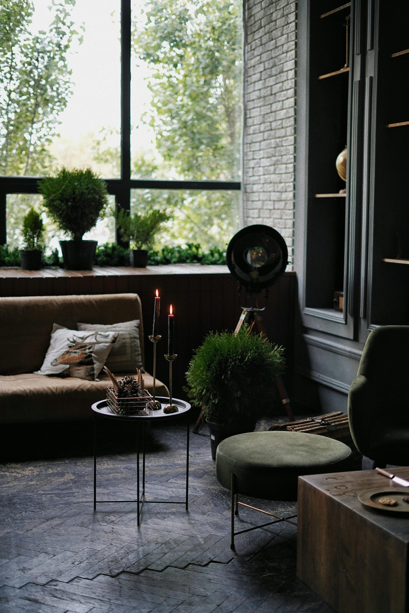 Interior of bright cozy living room with closet and couch decorated with green flowers in pots in daytime