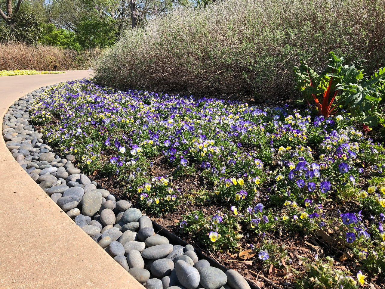 Landscape River Rock Ideas for Decorating Your Outdoor Patio | Online Stone Solutions