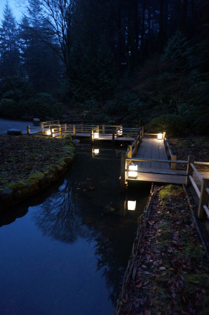 Lighting Up the Japanese Garden At Night – Moments of Ma