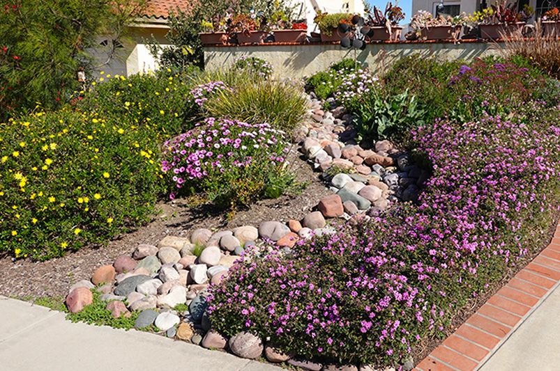 Low-Maintenance Landscaping: Easy Care Plants - ShurbHub | ShrubHub