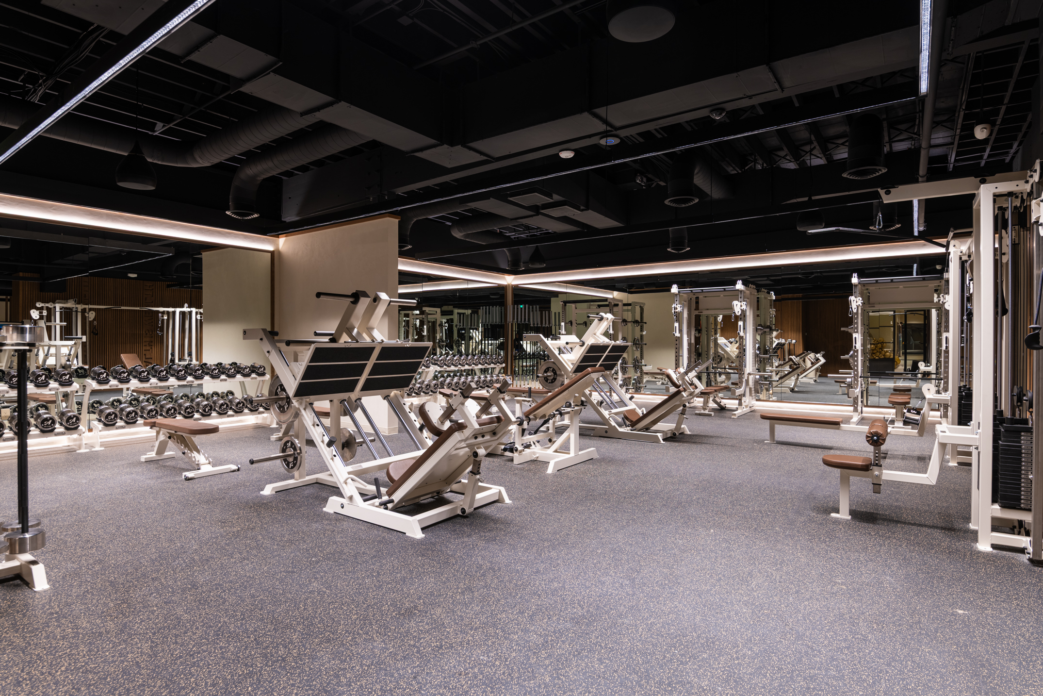 Luxury Home Gym Design | DivFit
