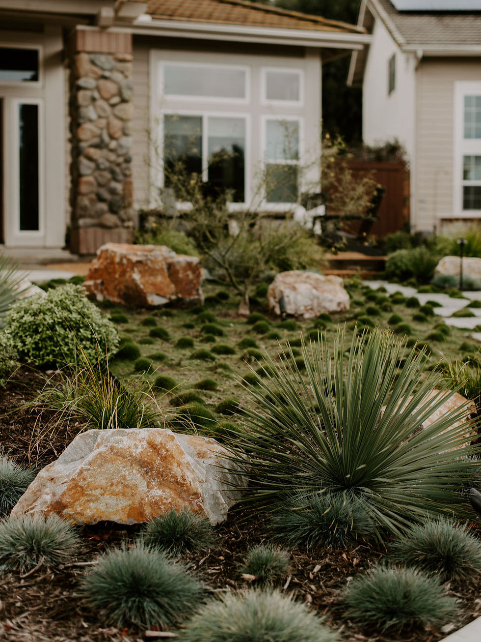 Modern Coastal Garden Design: The Ultimate Guide to Laid-Back Cool for Your SoCal Yard