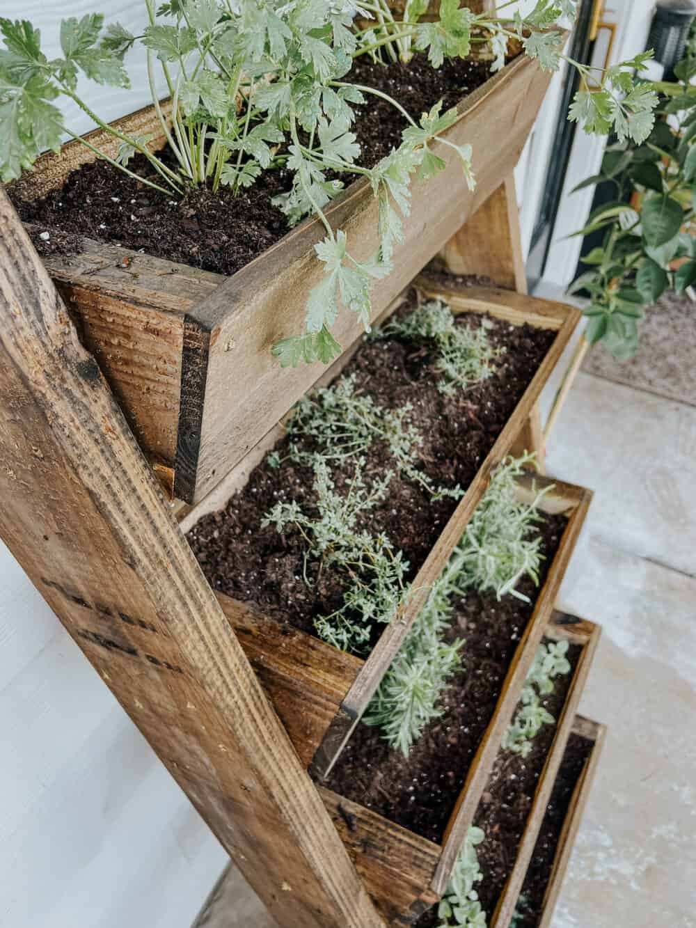 Our New Leaning Vertical Herb Garden – Love & Renovations
