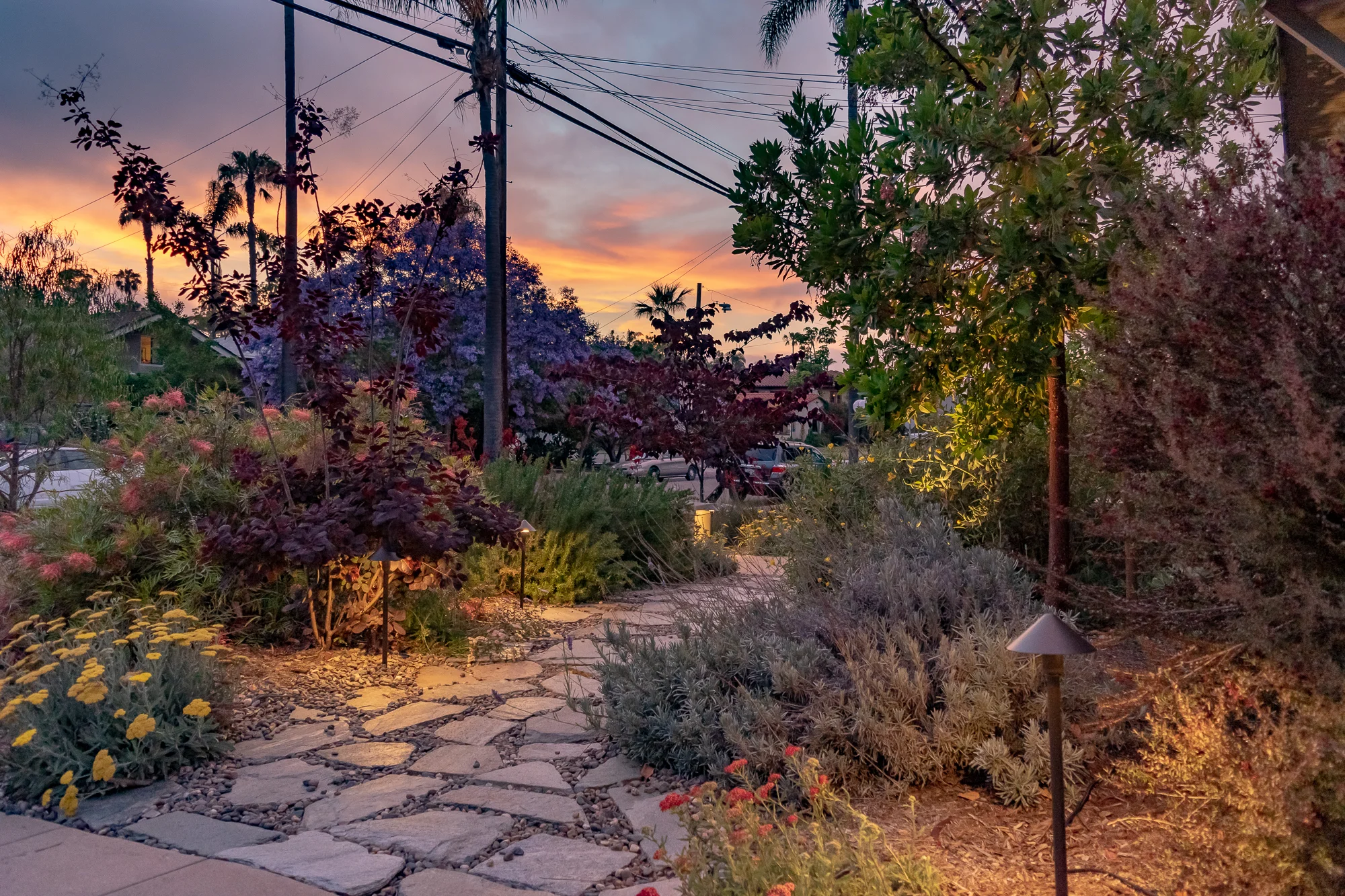 The Whys, Whats, and Hows of Landscape Lighting — The Gold Hive