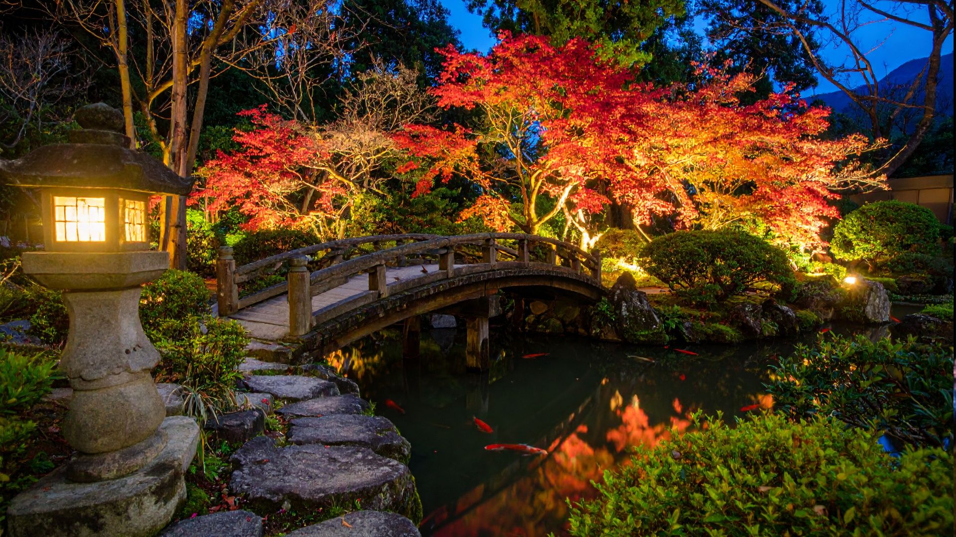 Top 6 Outdoor Lighting Inspirations for Japanese-Style Gardens - Clicka Lights
