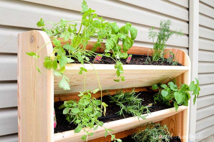 Vertical Herb Garden | Kreg Tool