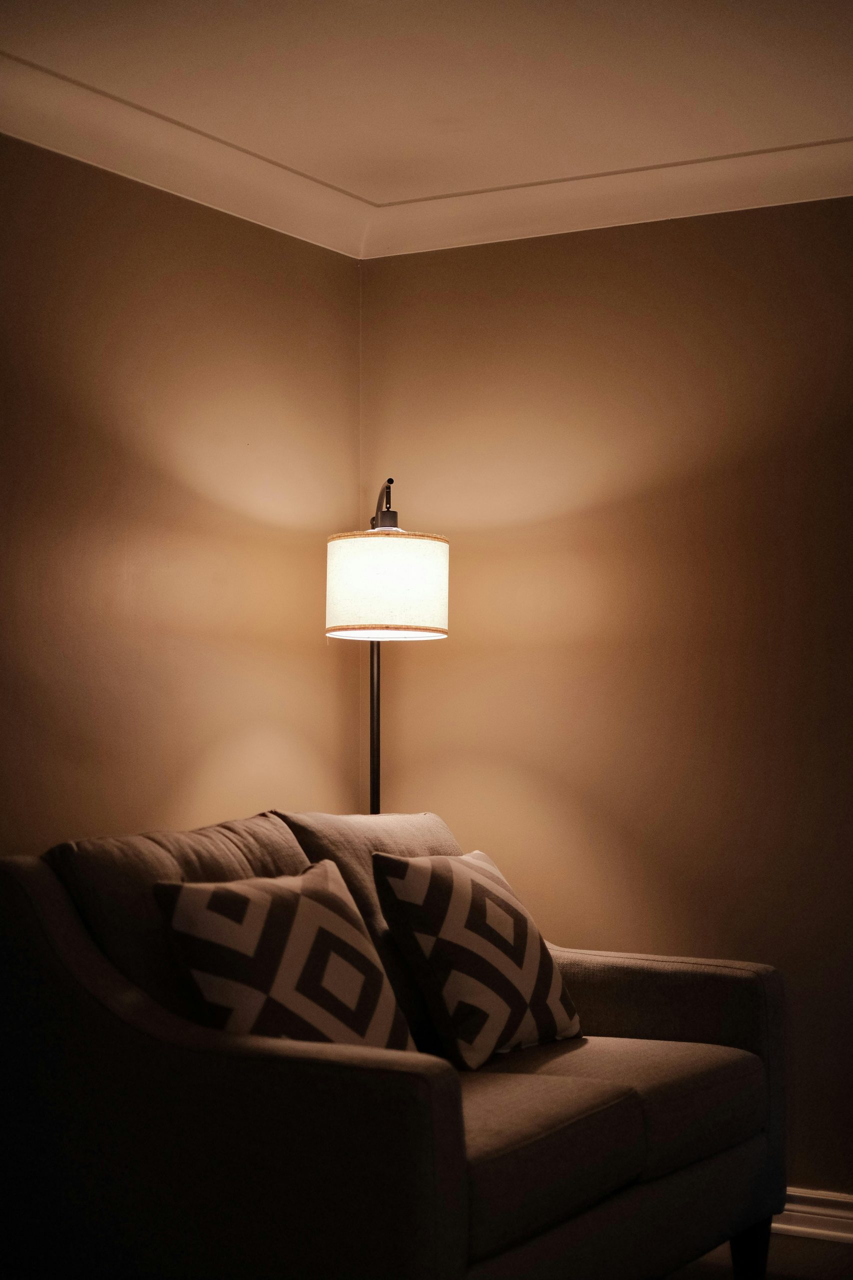 Warm and inviting living room corner with a stylish sofa, decorative pillows, and a soft glowing lamp.